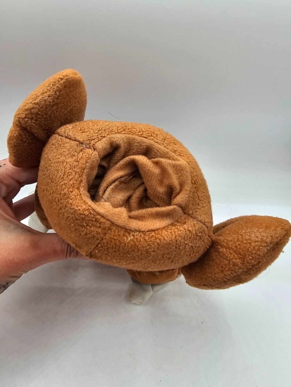 BarkBox "Turkeith" plush turkey dog toy Thanksgiving Turkey - Picture 3 of 3